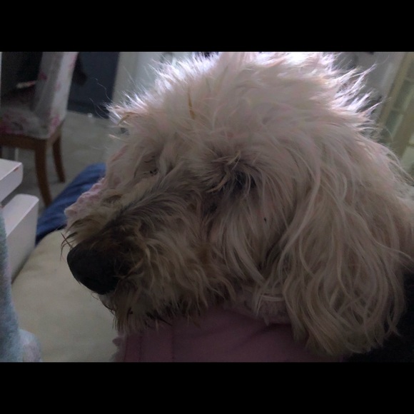 Meet your Posher, Julie - Picture 1 of 1